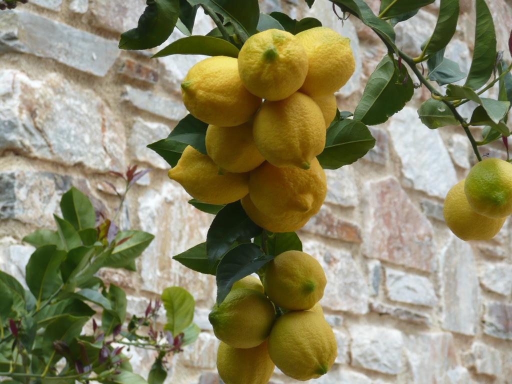 Labetia Apartments Agioi Apostoloi  Luaran gambar
